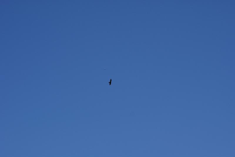 759.JPG